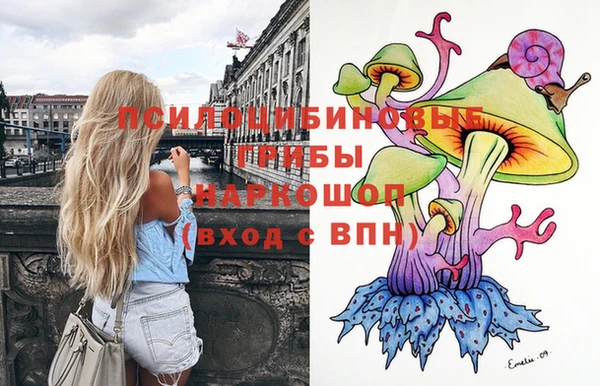 СК Алзамай