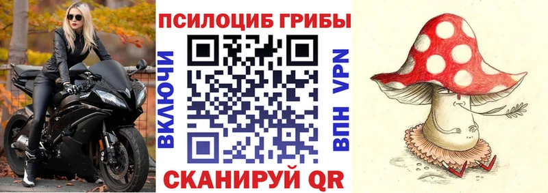Псилоцибиновые грибы прущие грибы  KRAKEN ТОР  Макушино 